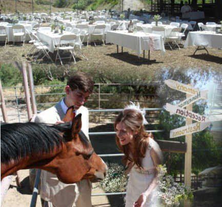 Wedding venue with married couple on the farm with horses at wedding reception. Outdoor wedding venues in the Inland Empire
