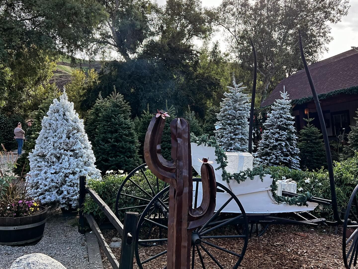 Christmas Train Ride And Christmas tree farm Inland Empire