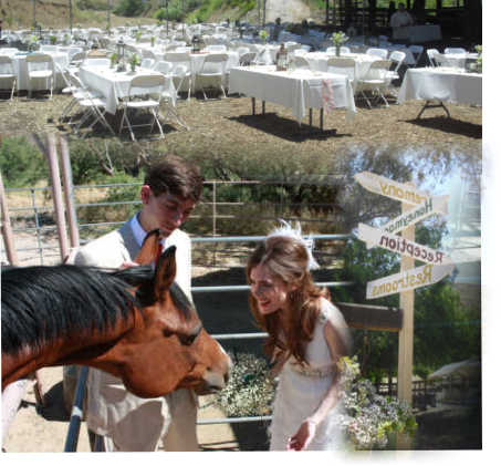 A bride and groom standing next to a horse with a sign in the background that says reception