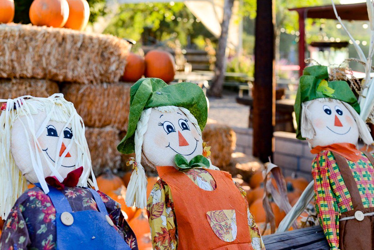 Things to do in the Inland Empire with family and kids, Crafts and hand made Halloween Decorations Holiday events and activities. Agri-tourism family attraction
