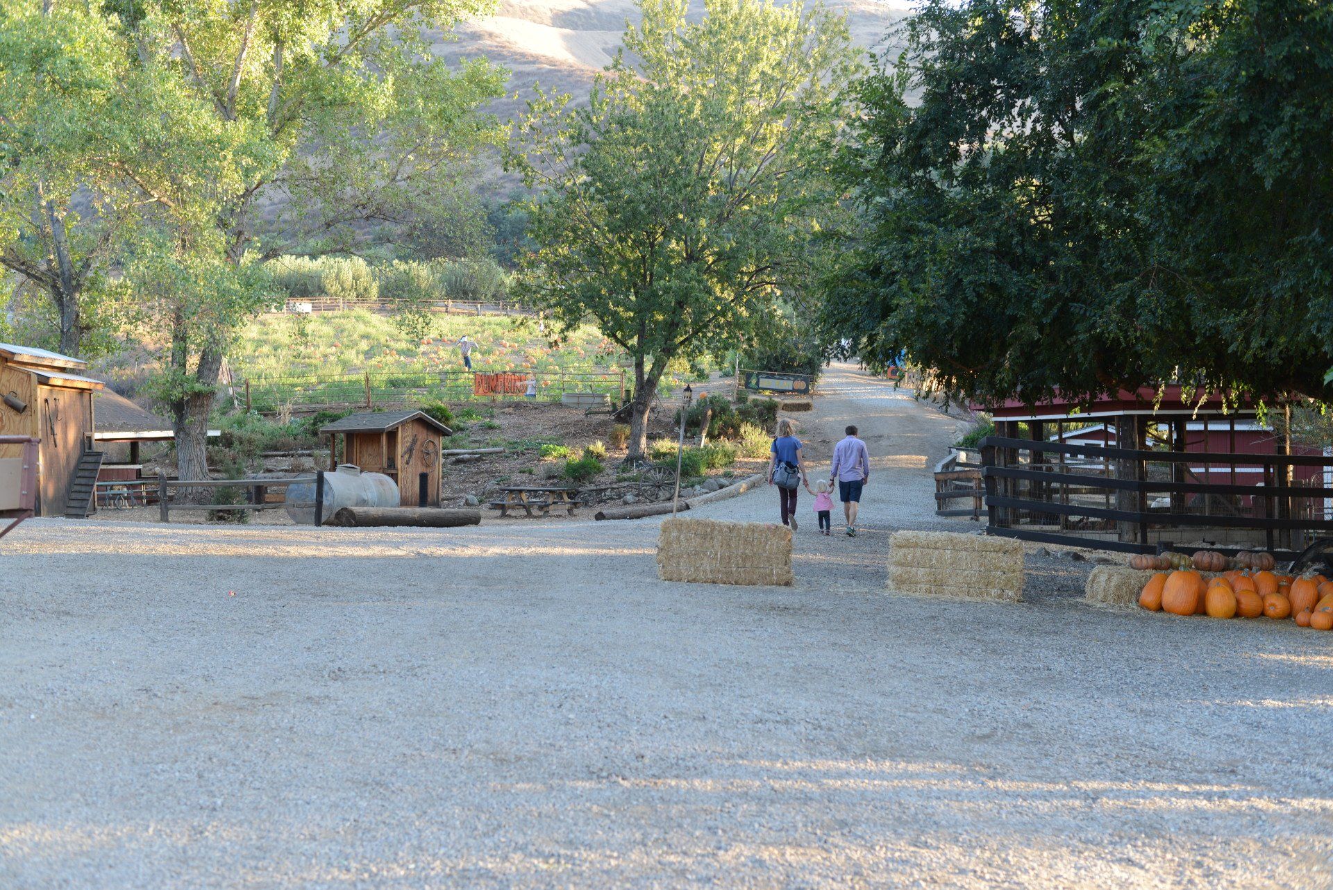 Family walking together on the farm
