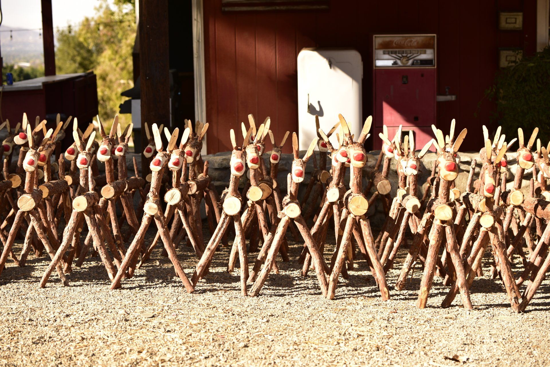 Chistmas Tree Farm Inland Empire Christmas Tree Farms Redlands