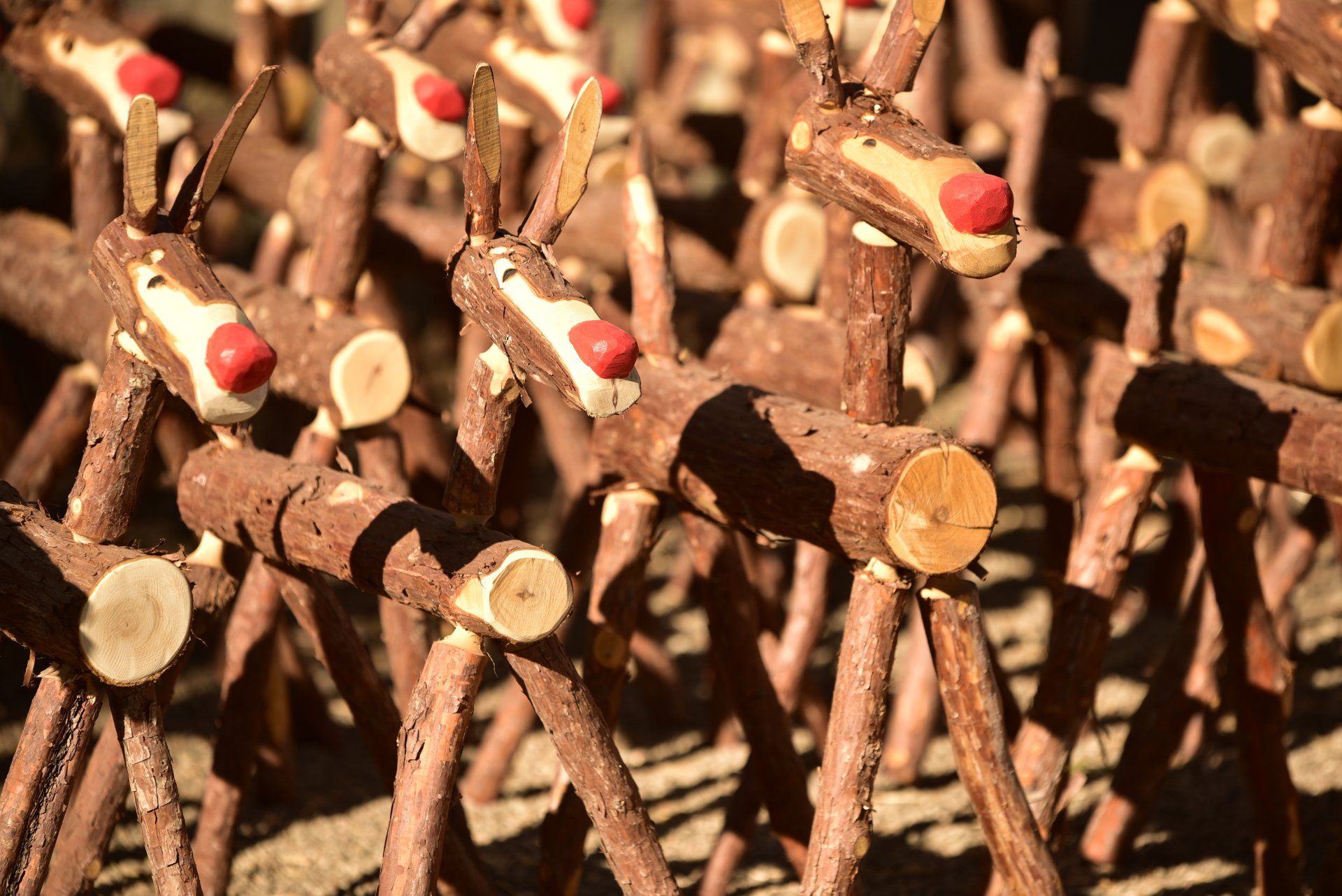 Chistmas Tree Farm Inland Empire Christmas Tree Farms Redlands