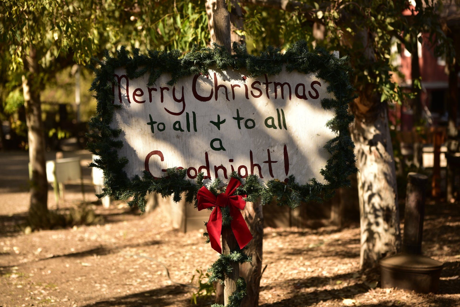Chistmas Tree Farm Inland Empire Christmas Tree Farms Redlands