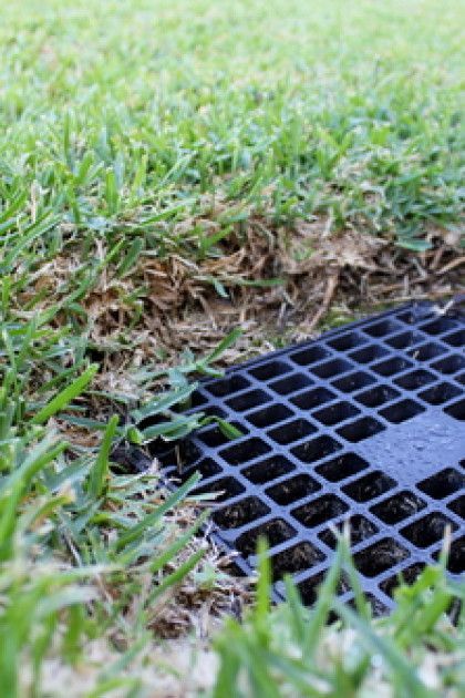 Black grate in grass, collecting water.