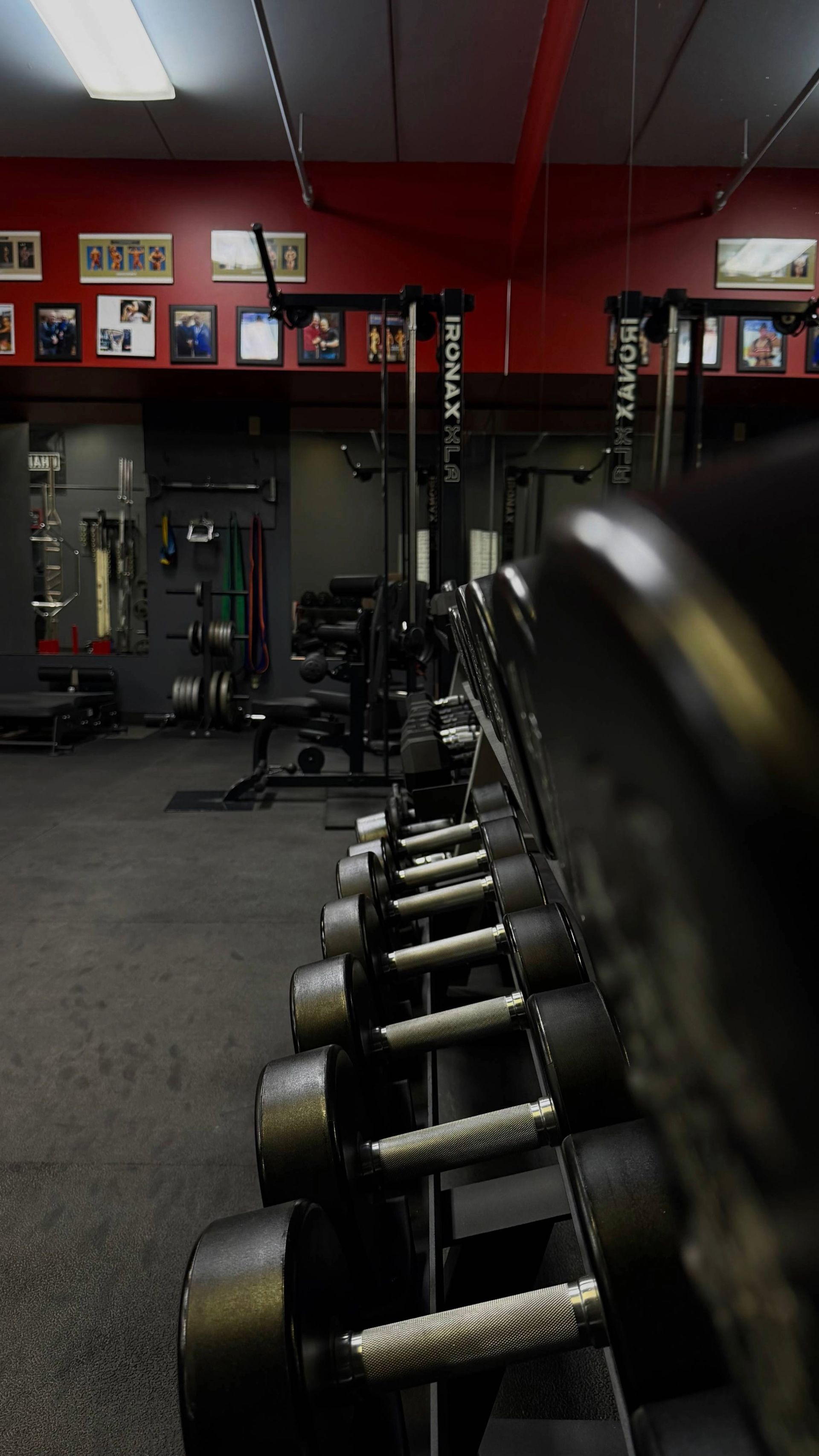 goals-performance-centre-structural-balance-custom-design