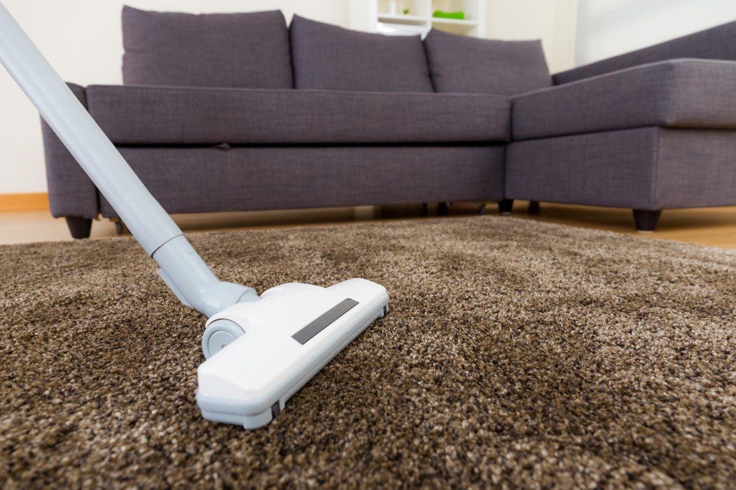 carpet cleaning picture st paul mn