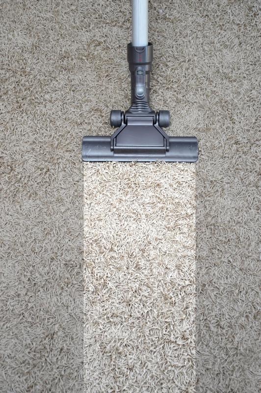 steam cleaning picture st paul mn