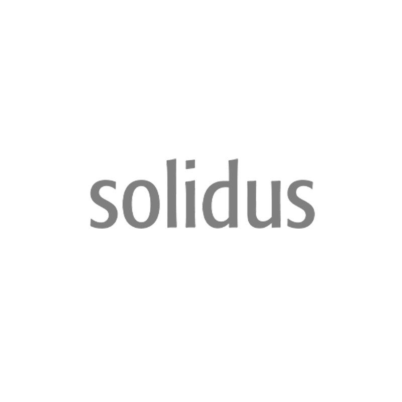 Das Wort Solidus steht auf weißem Hintergrund.