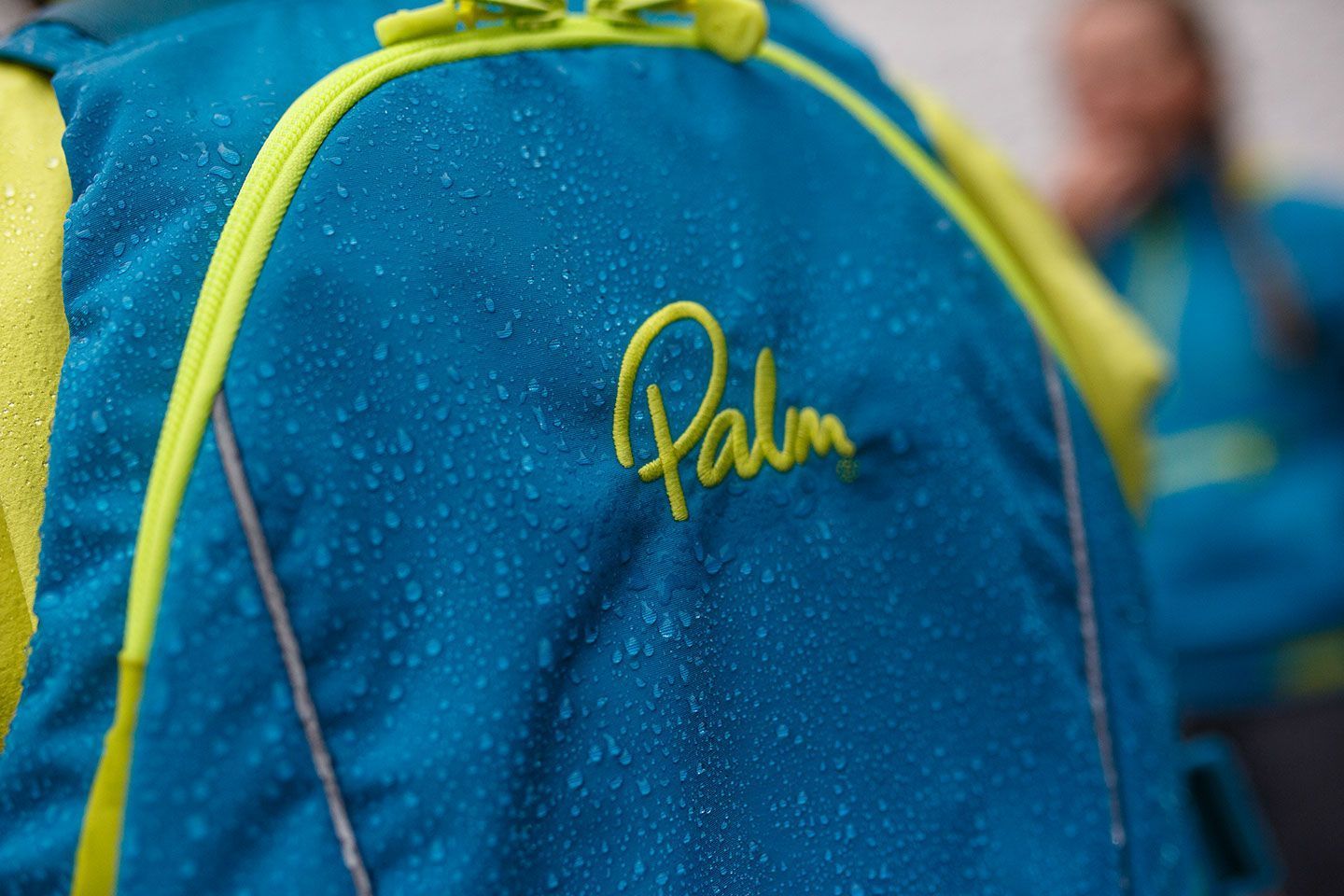 palm logo