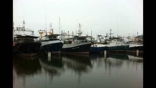 Fishermen's ships