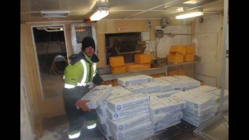 Worker working at Jowter Seafoods Pty Ltd