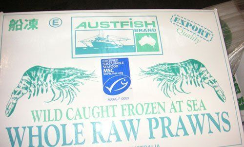 Wild caught frozen at sea Whole raw prawns