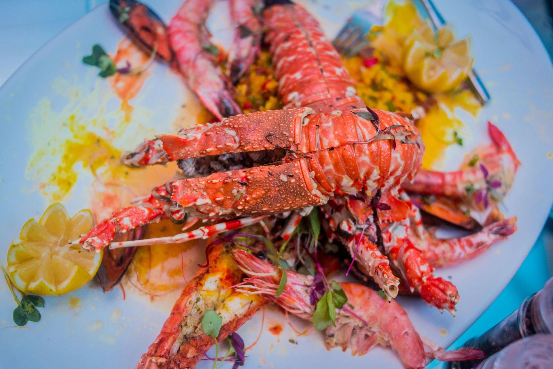 A cooked lobster and prawns served on a white platter with lemon slices and herbs.