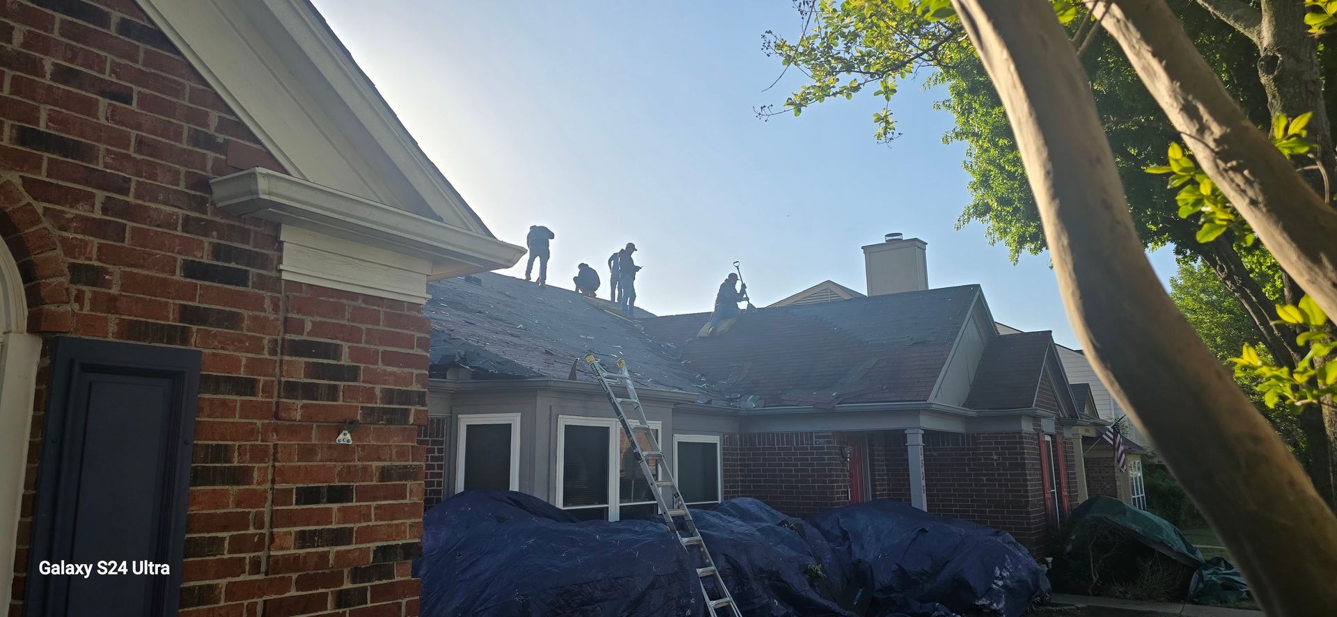 Roofers working on a house roof on a sunny day. A ladder is in front. Blue tarp covers below.