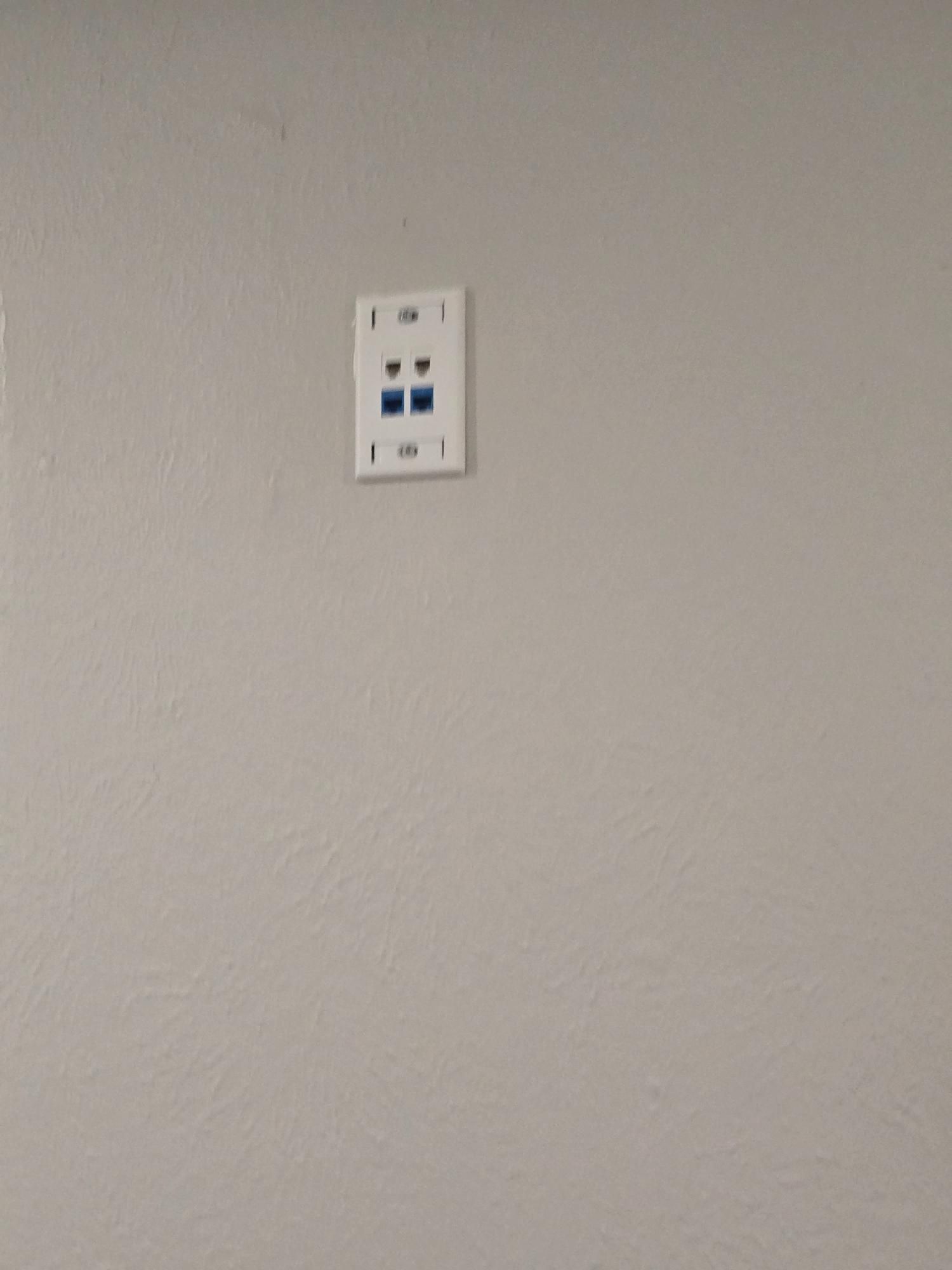White wall plate with two blue RJ45 network jacks centered on a grey wall.