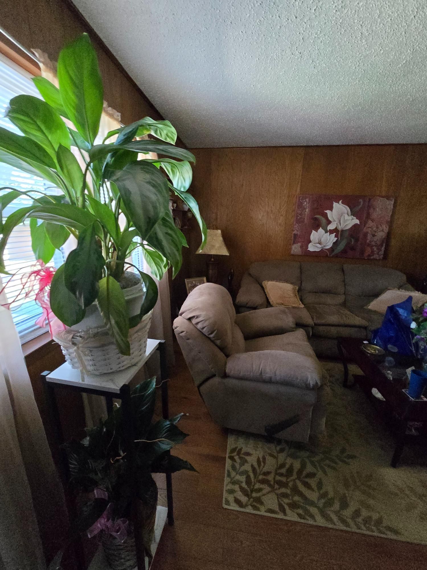 Living room with a large plant by a window, recliner, couch, and wall art.