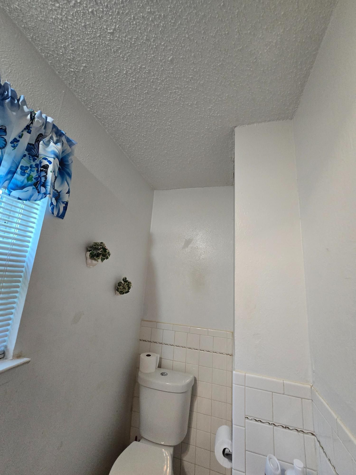Small, white bathroom with a toilet, patterned ceiling, window, and two small hanging plants.