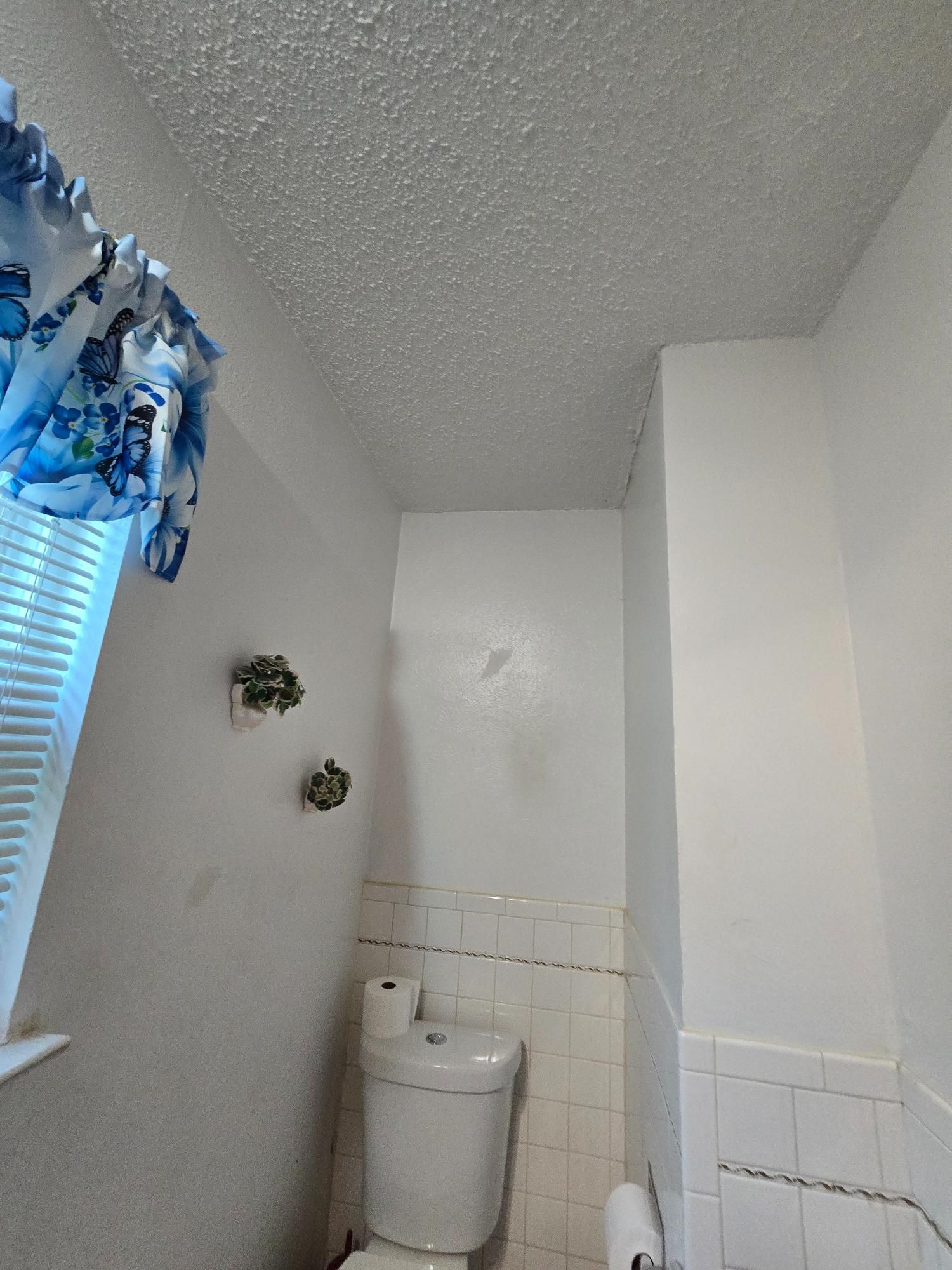 Small white bathroom with toilet, textured ceiling, and blue curtain.
