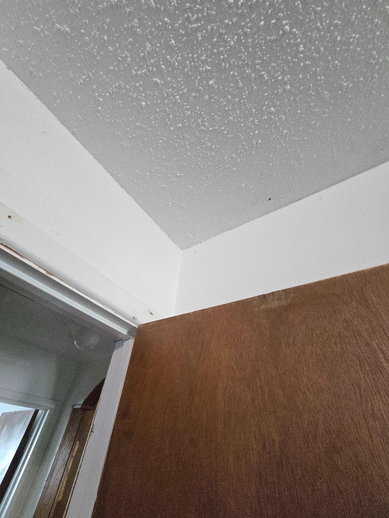 White ceiling with speckled texture, white trim, and brown wall in a corner.