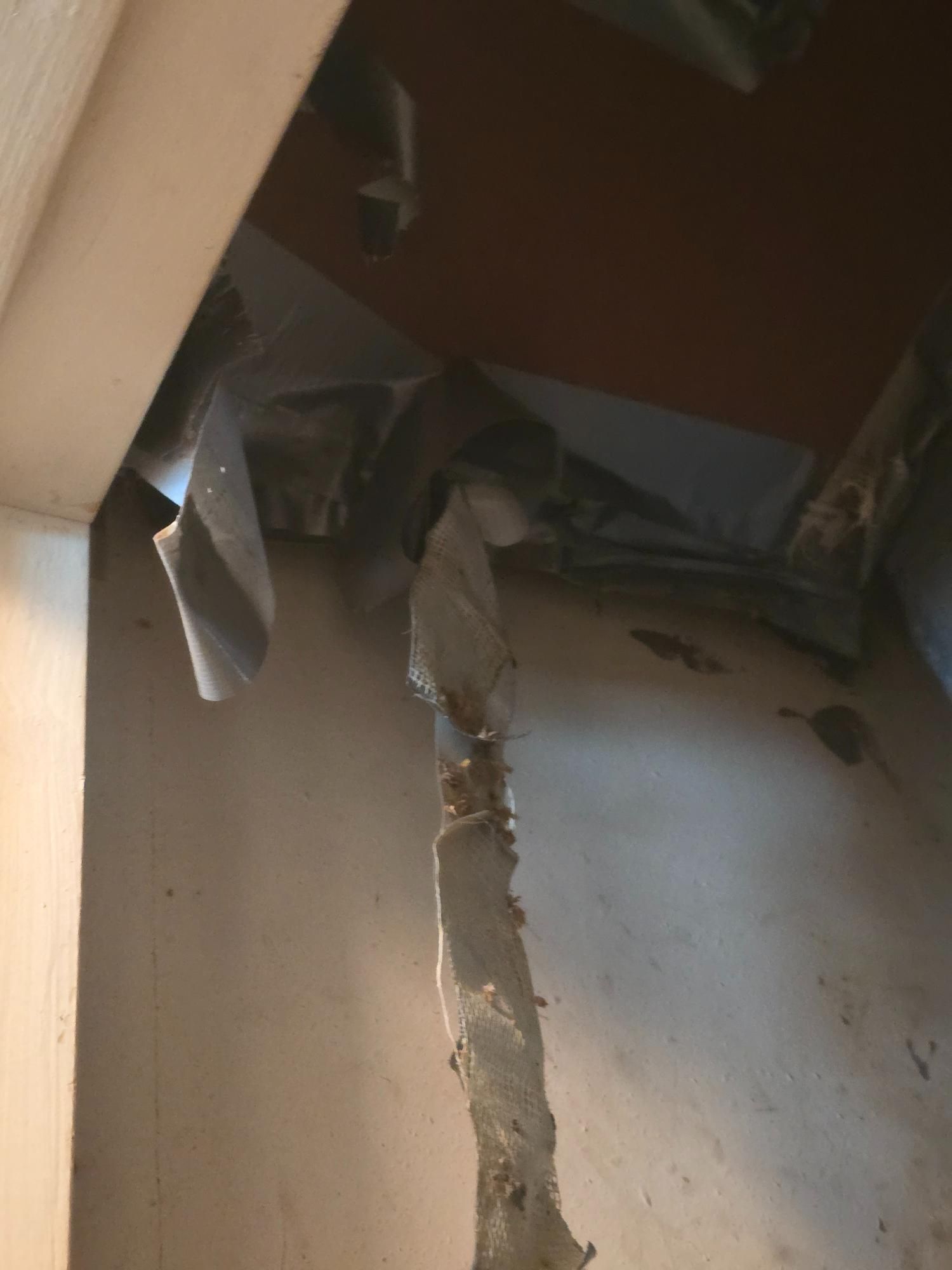 Damaged wall section with torn paper and exposed construction, corner view.