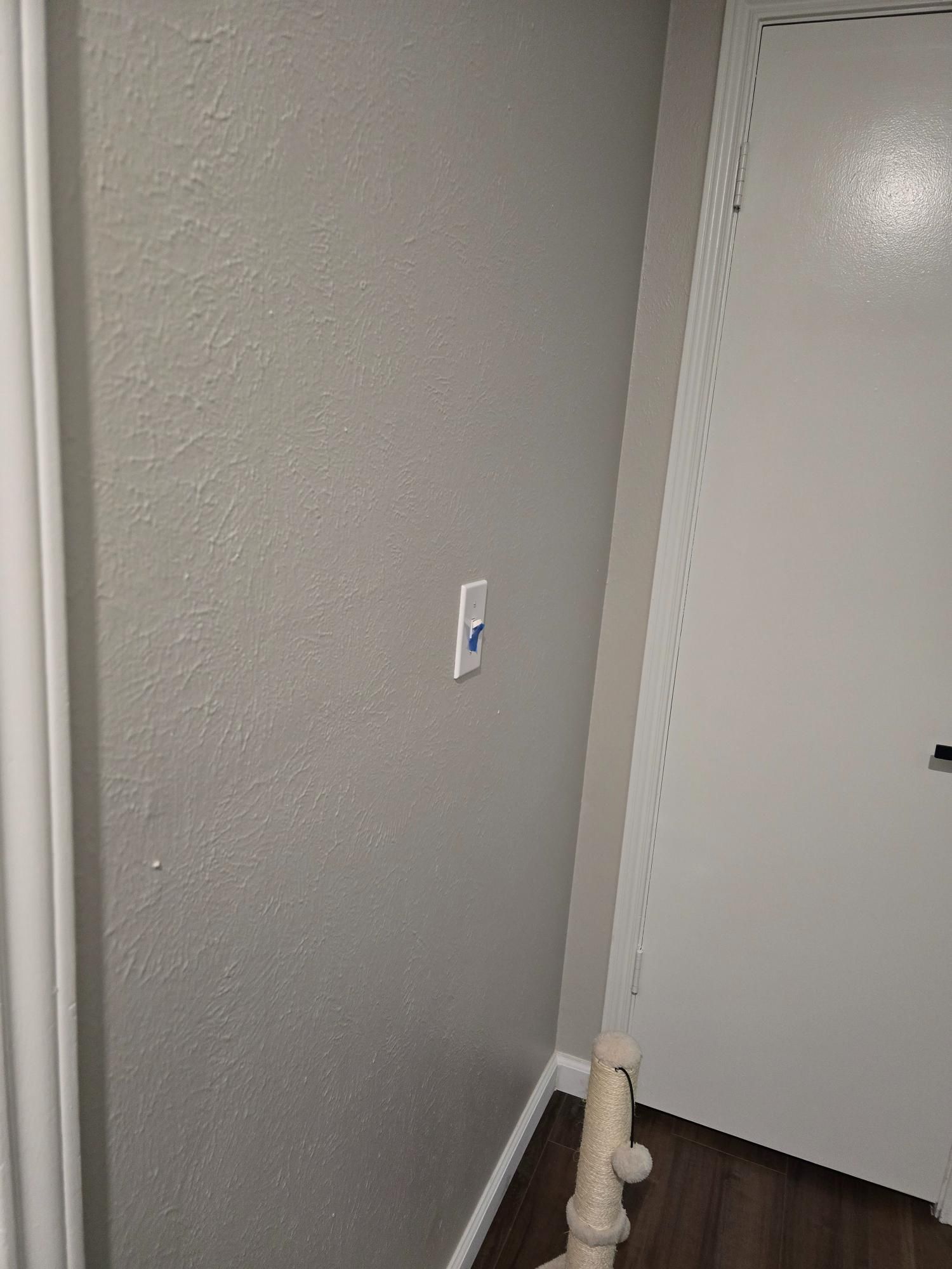 Gray wall with a white light switch. White door and baseboard present.