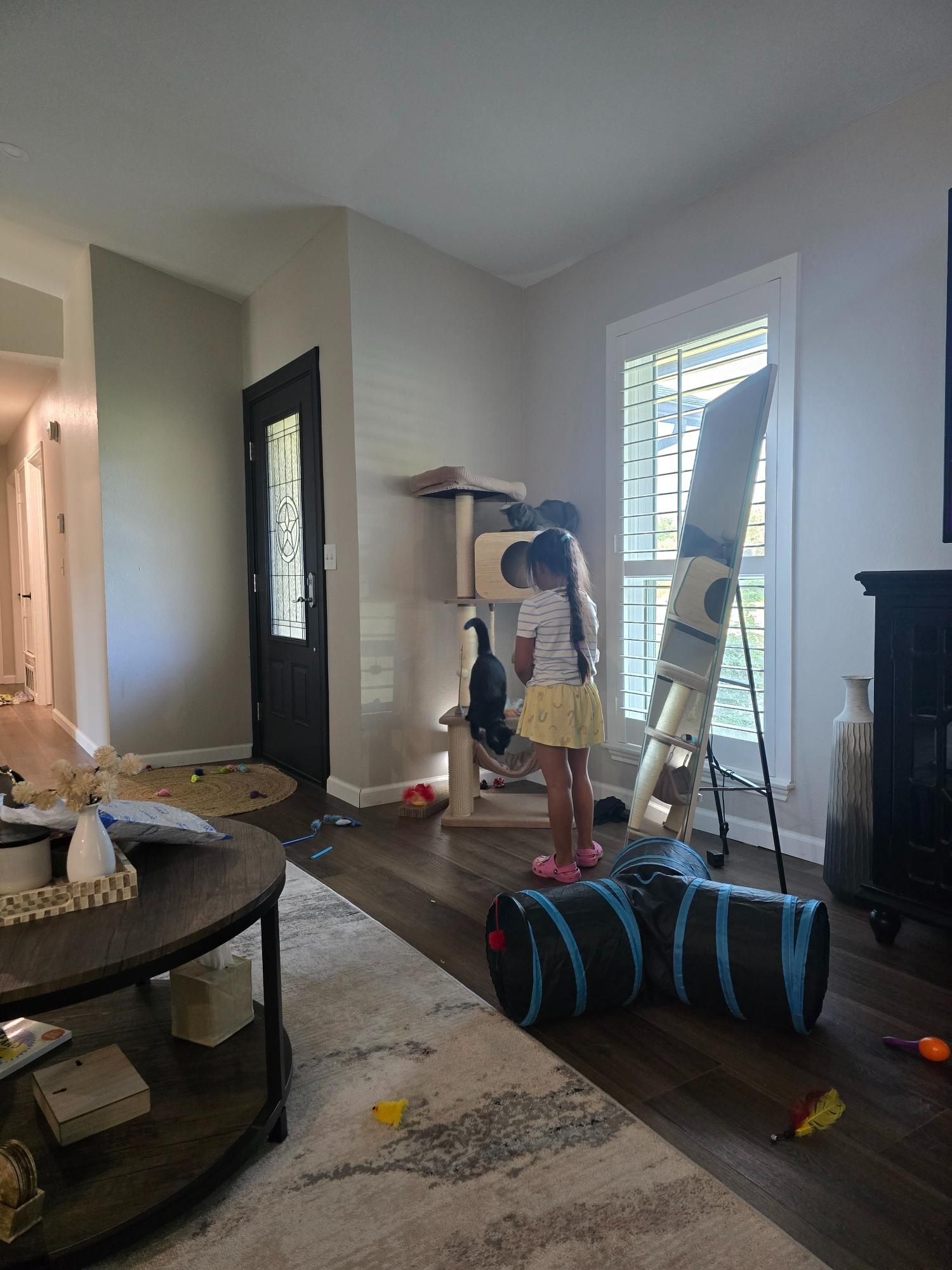 Girl standing near a cat tree in a living room, a cat is on the cat tree. A play tunnel is on the floor.