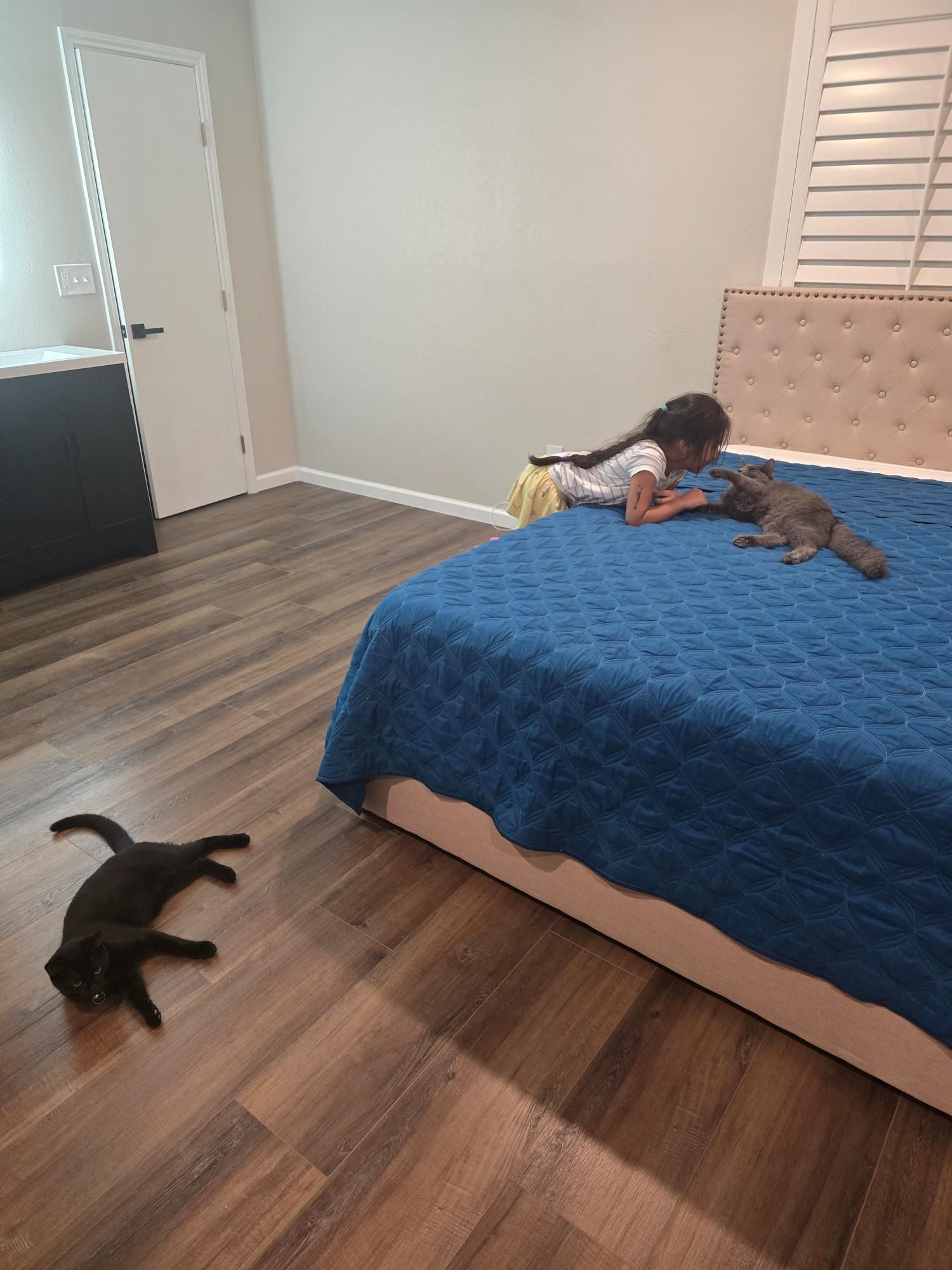 Girl petting two cats on a bed in a bedroom; one cat on the floor.