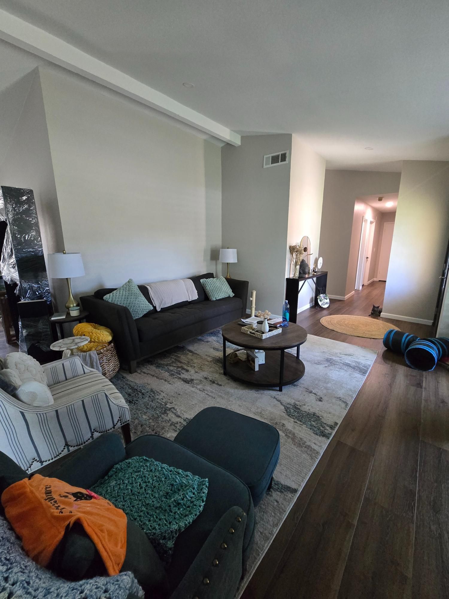Living room with dark sofa, patterned rug, coffee table, and doorway to hallway.