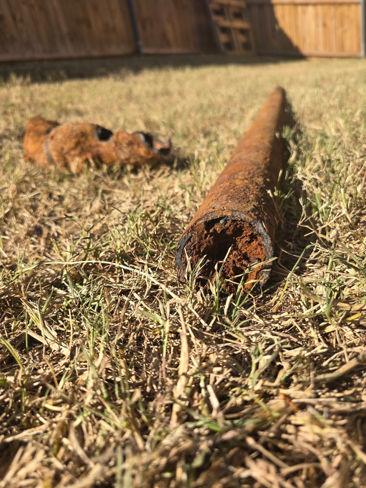 Rusty pipe on grass with a blurred dog in the background.