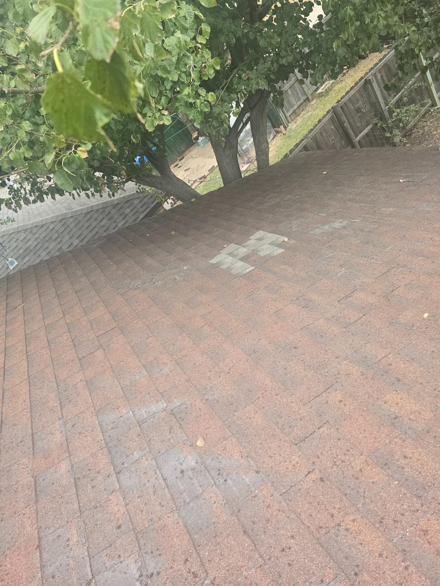 Brown shingle roof with faded patches, tree in background, wooden fence.