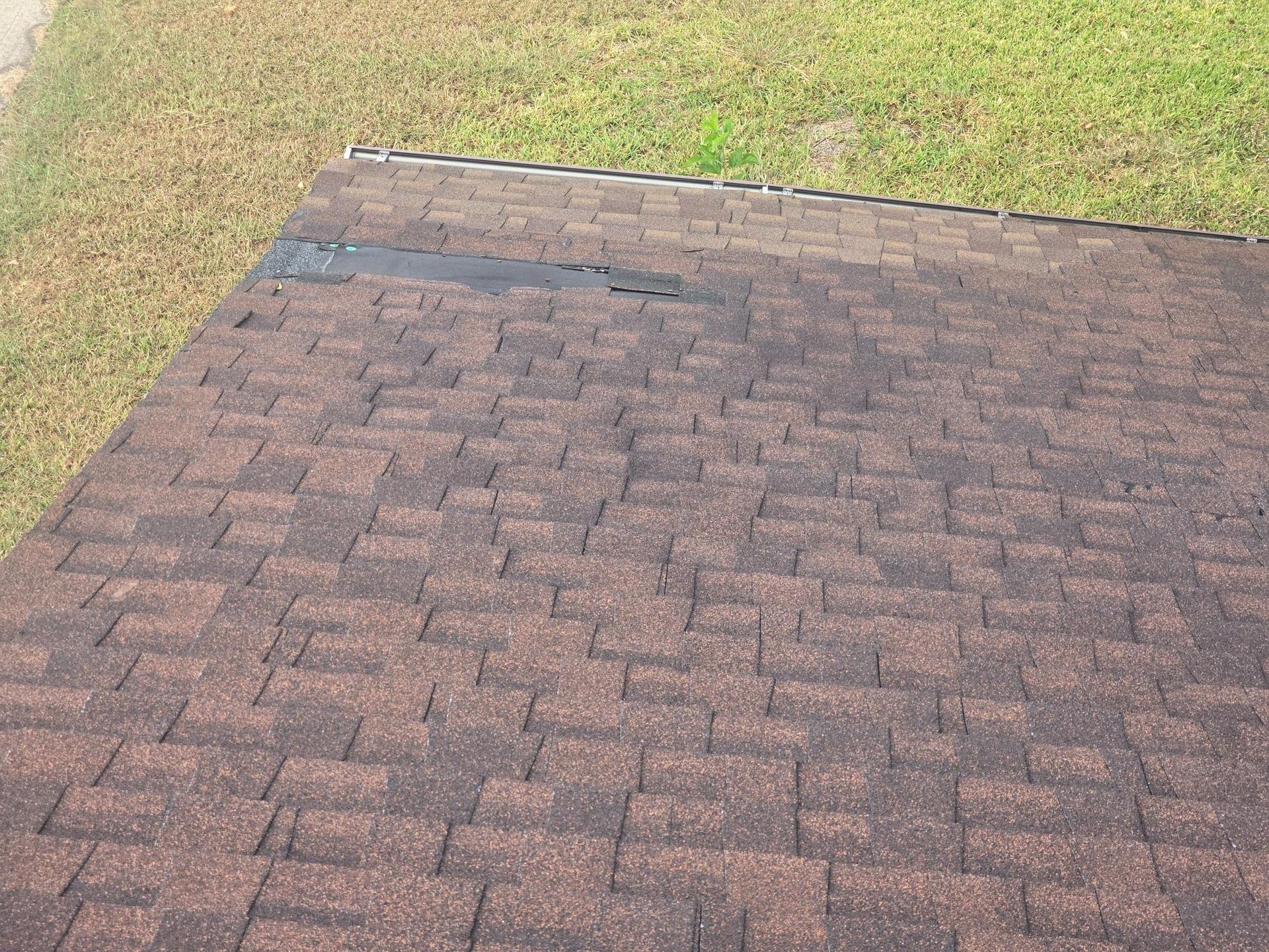 Brown asphalt shingle roof with damage near the edge, next to green and brown grass.