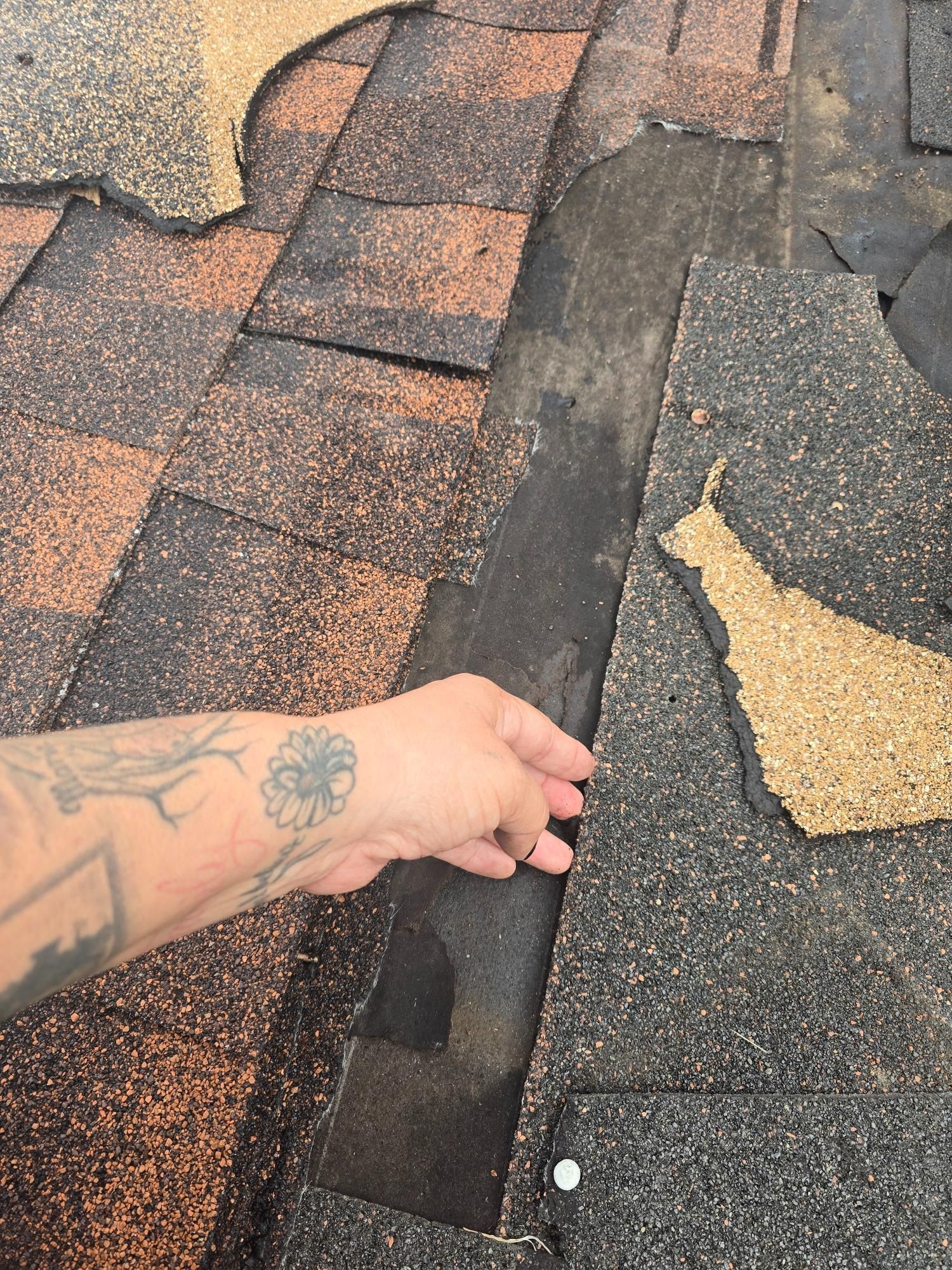 Hand examining damaged roof shingles, revealing a dark underlayment.