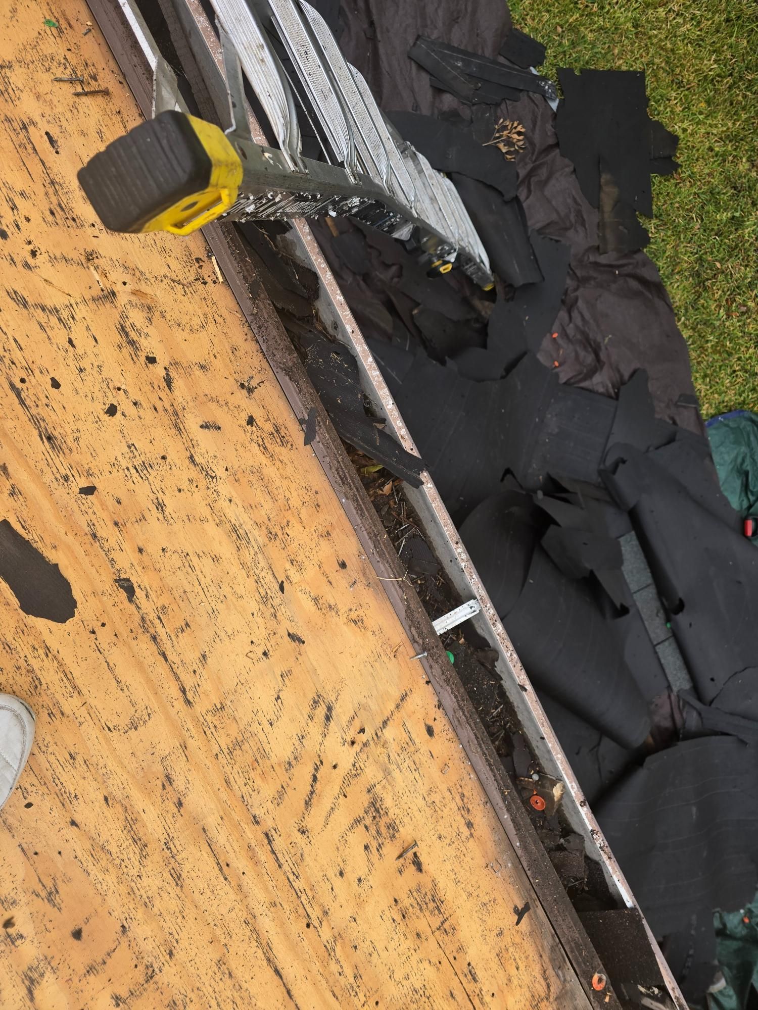 Ladder leaning against roof gutter filled with debris.