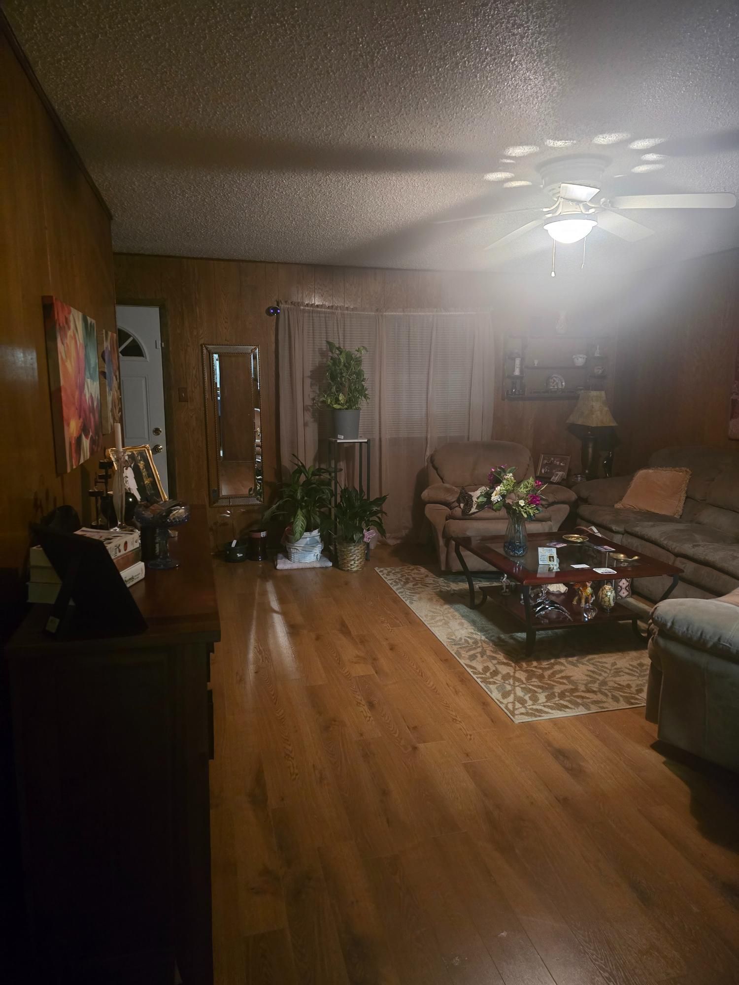 Living room with wood floors, brown couch, plants, and sunlight.