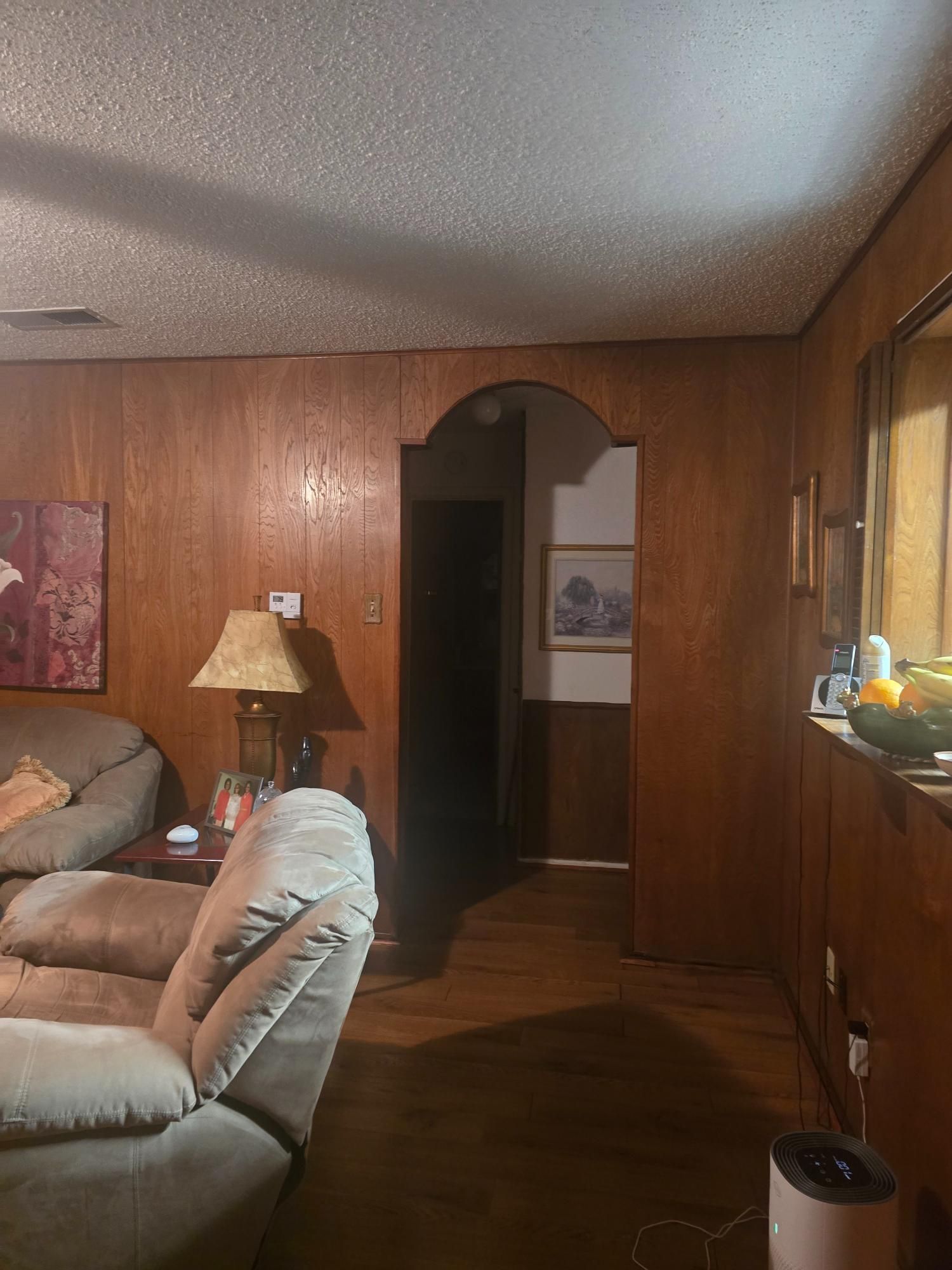 Living room with wood paneling, recliner, arched doorway, and a lamp.