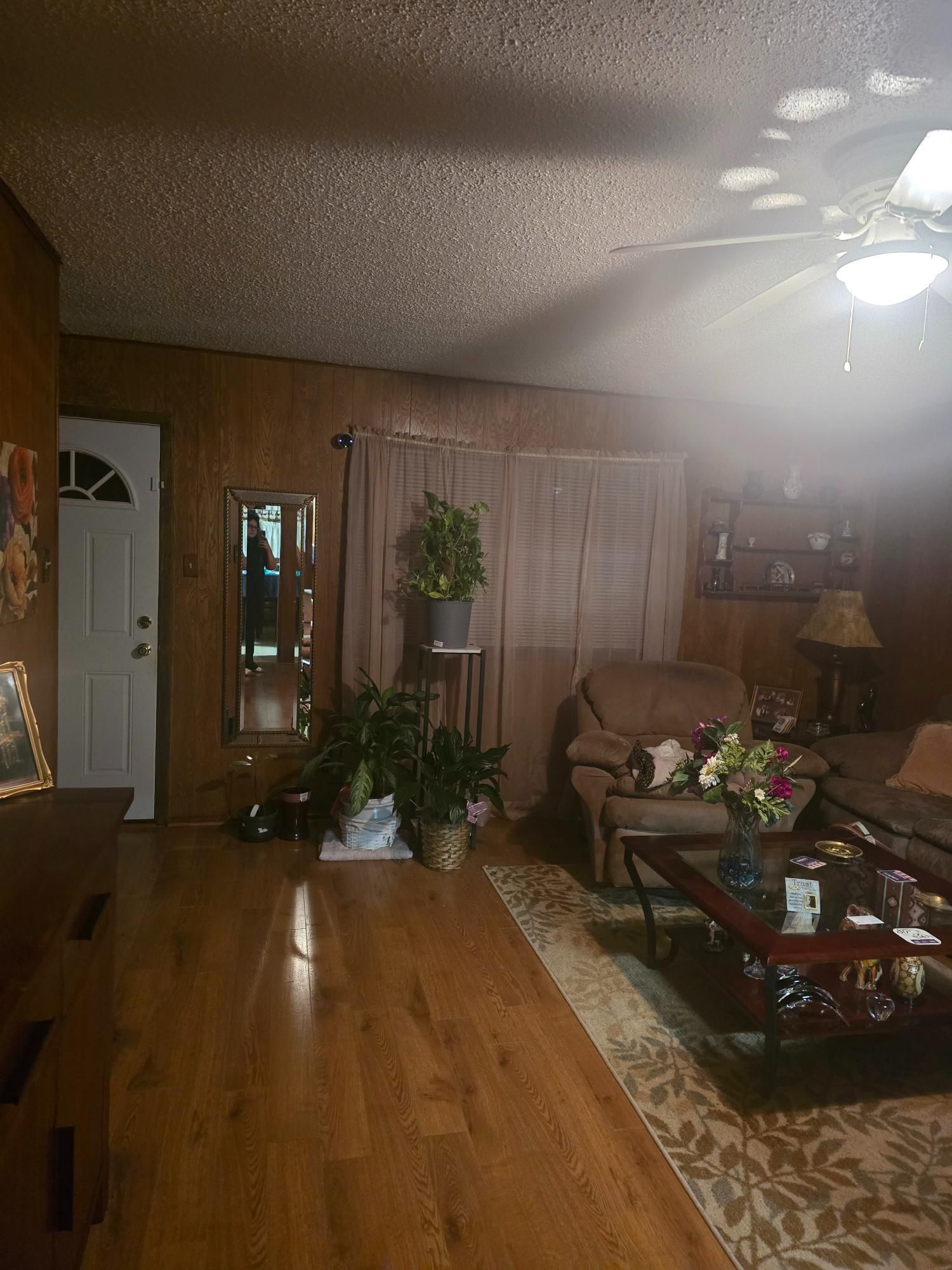 Living room with wood paneling, plants, and a sofa.