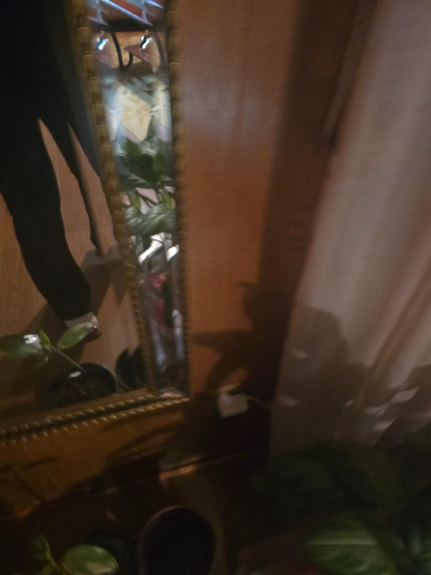 Mirror reflecting greenery and part of a person wearing black clothing; set against a wood-paneled wall.