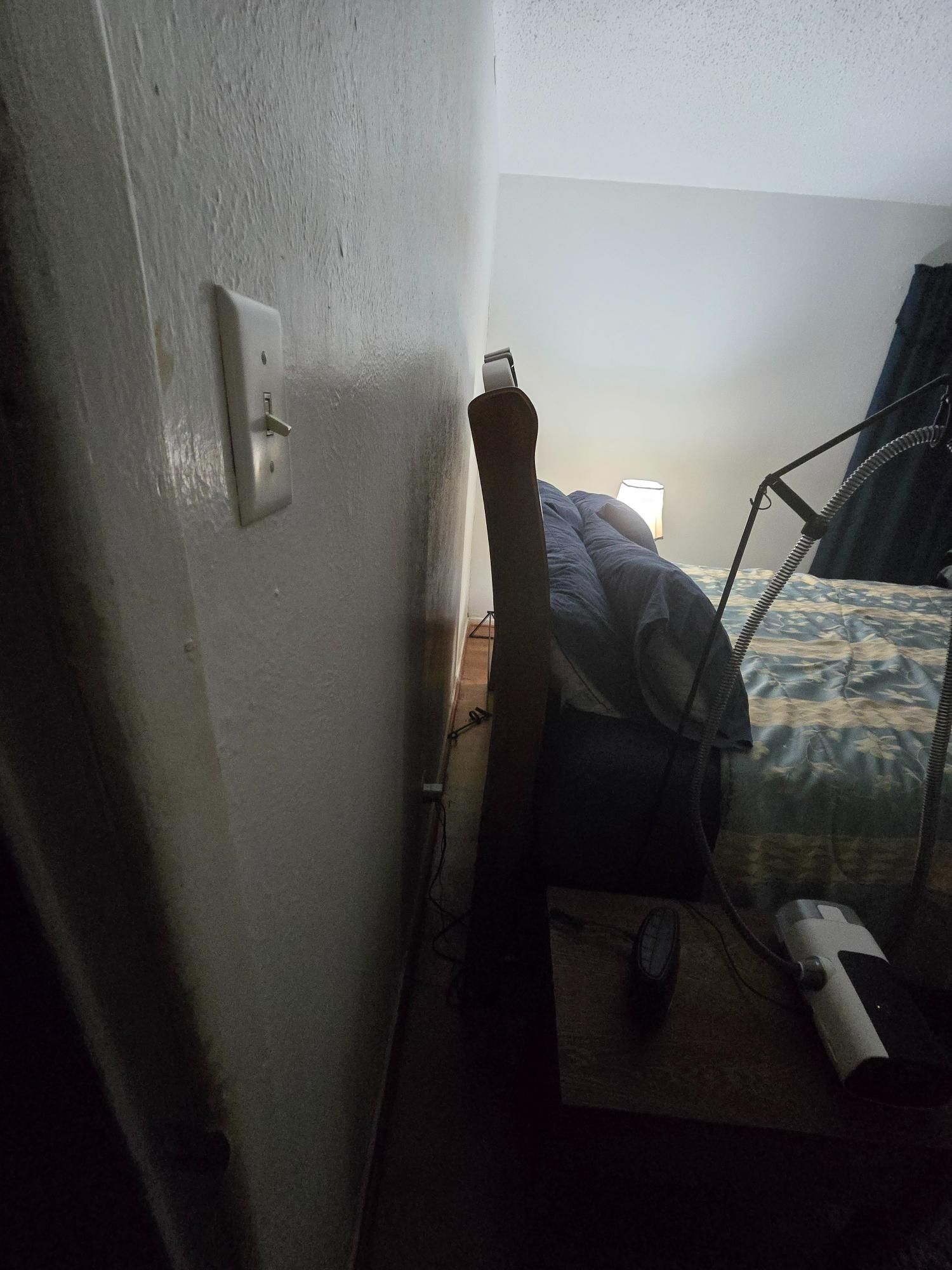 Wall with light switch next to a bed with a wooden headboard, small nightstand, and lamp.