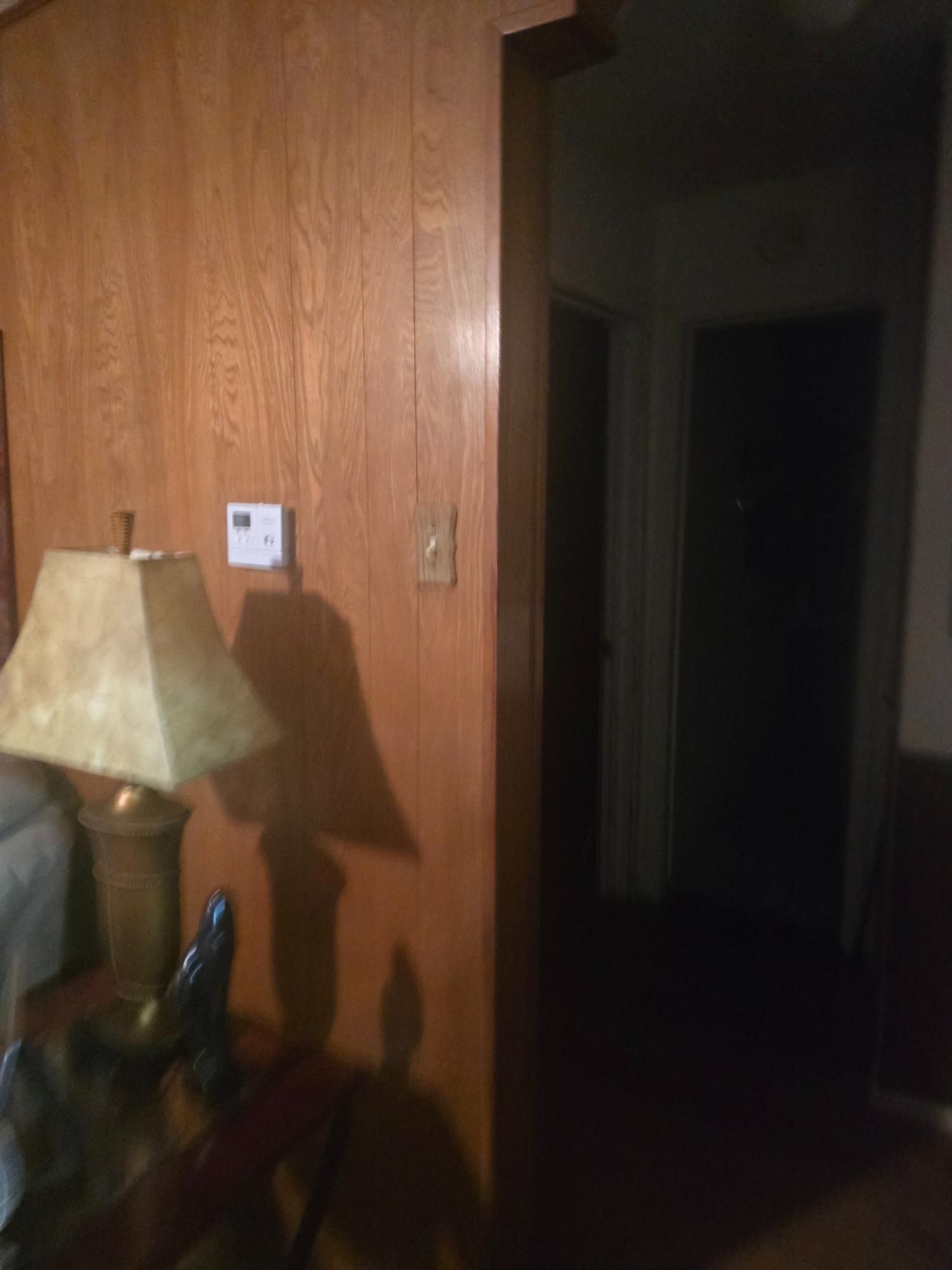 Wooden paneling with a hallway doorway; a lamp casts a shadow.