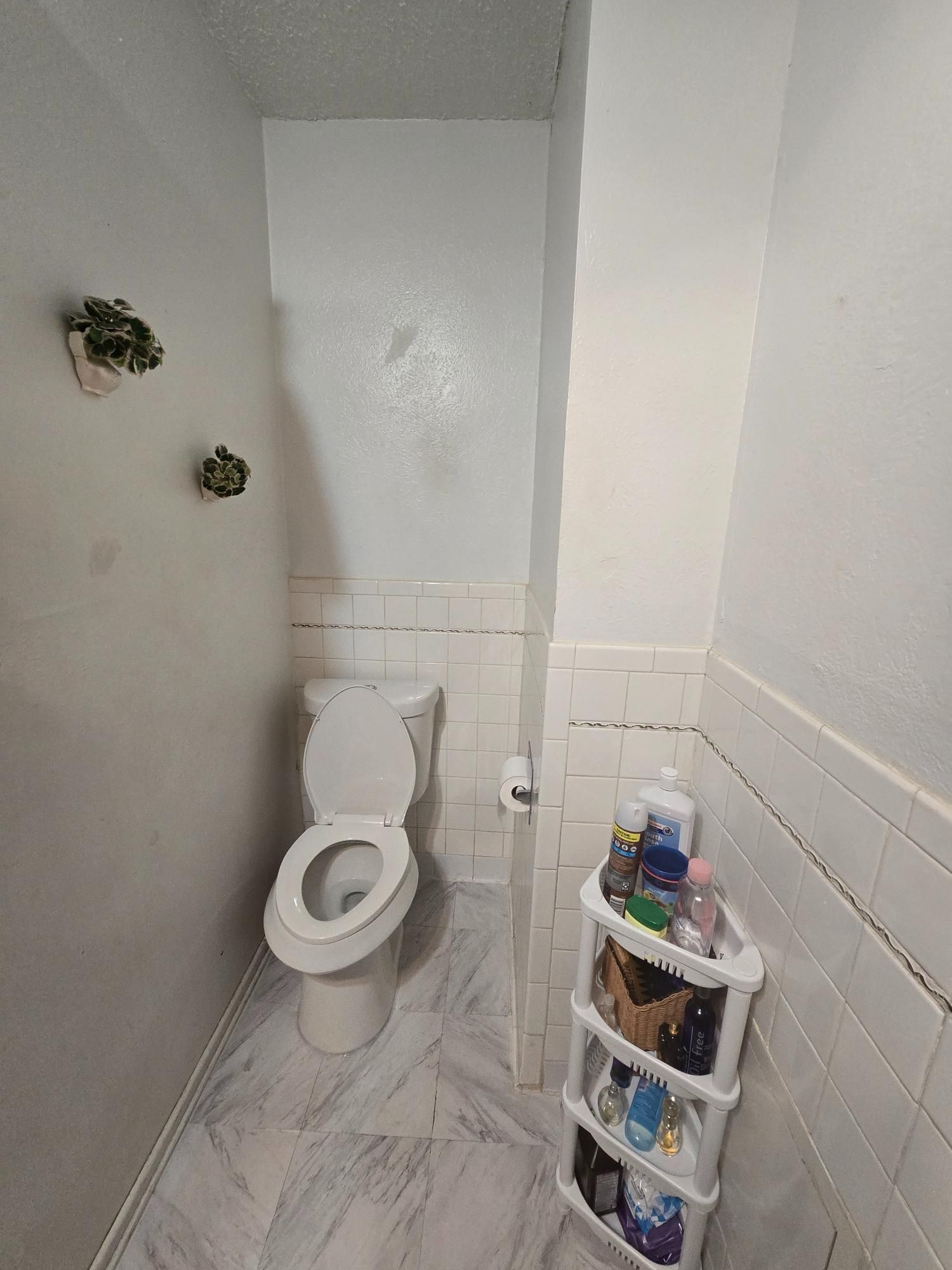 A small white bathroom with a toilet, shelf, and plants. White tile, walls, and flooring.