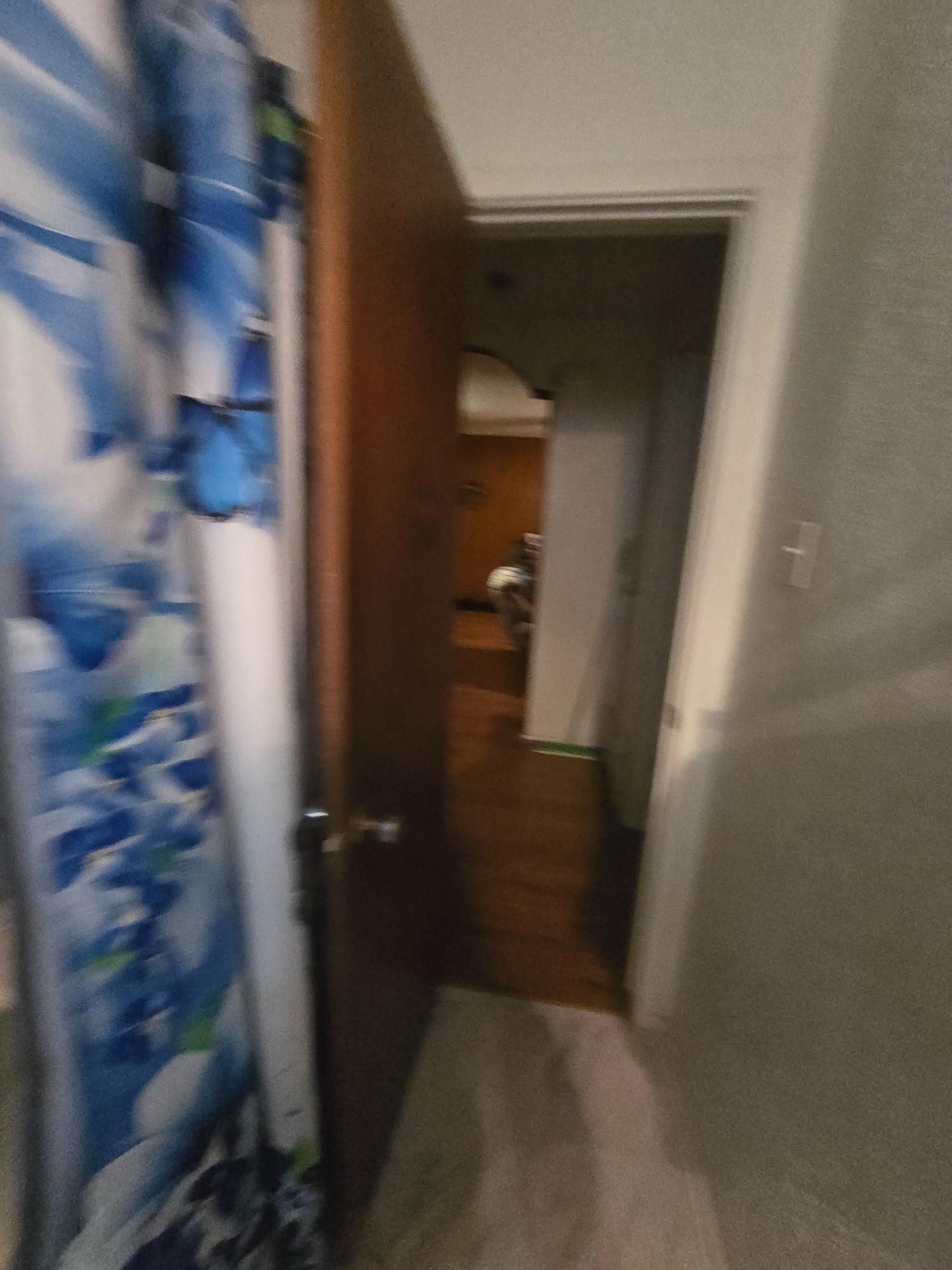 Doorway leading to a hallway with a partly visible door on the right and a blue floral curtain on the left.