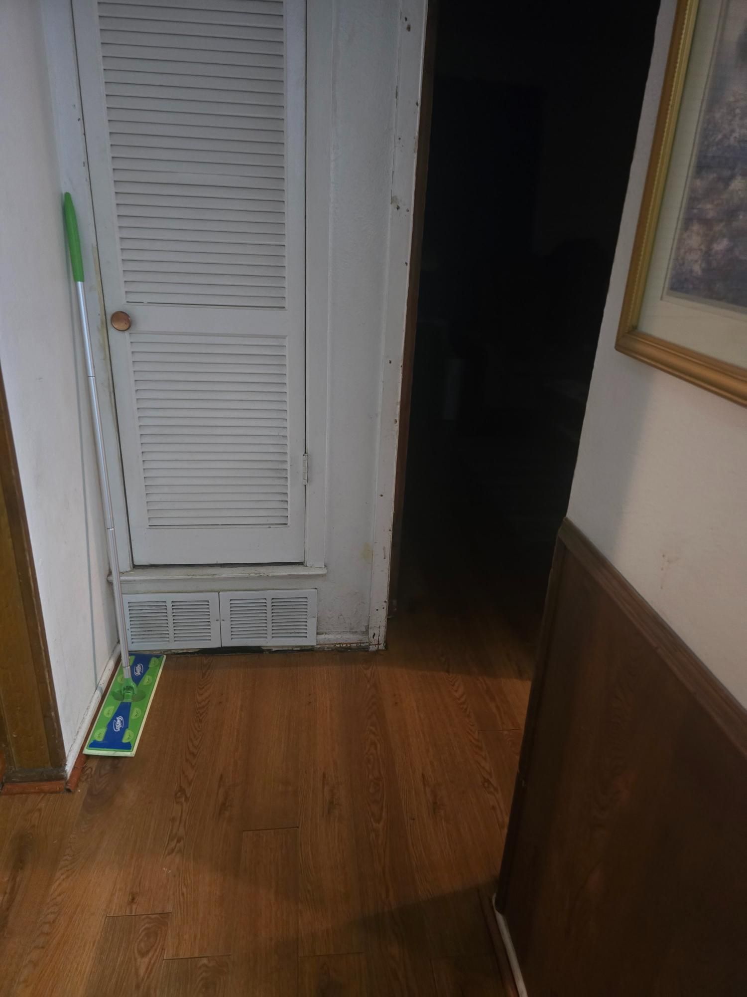 Hallway with wood floor, white louvered door, dark opening, and mop leaning against the door.