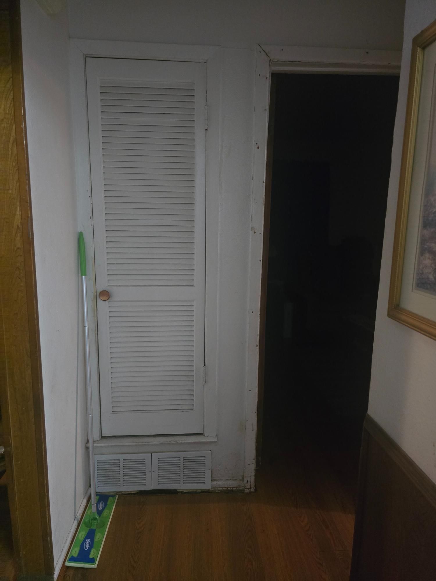 White louvered closet door and dark doorway in a hallway with a mop and wood floors.