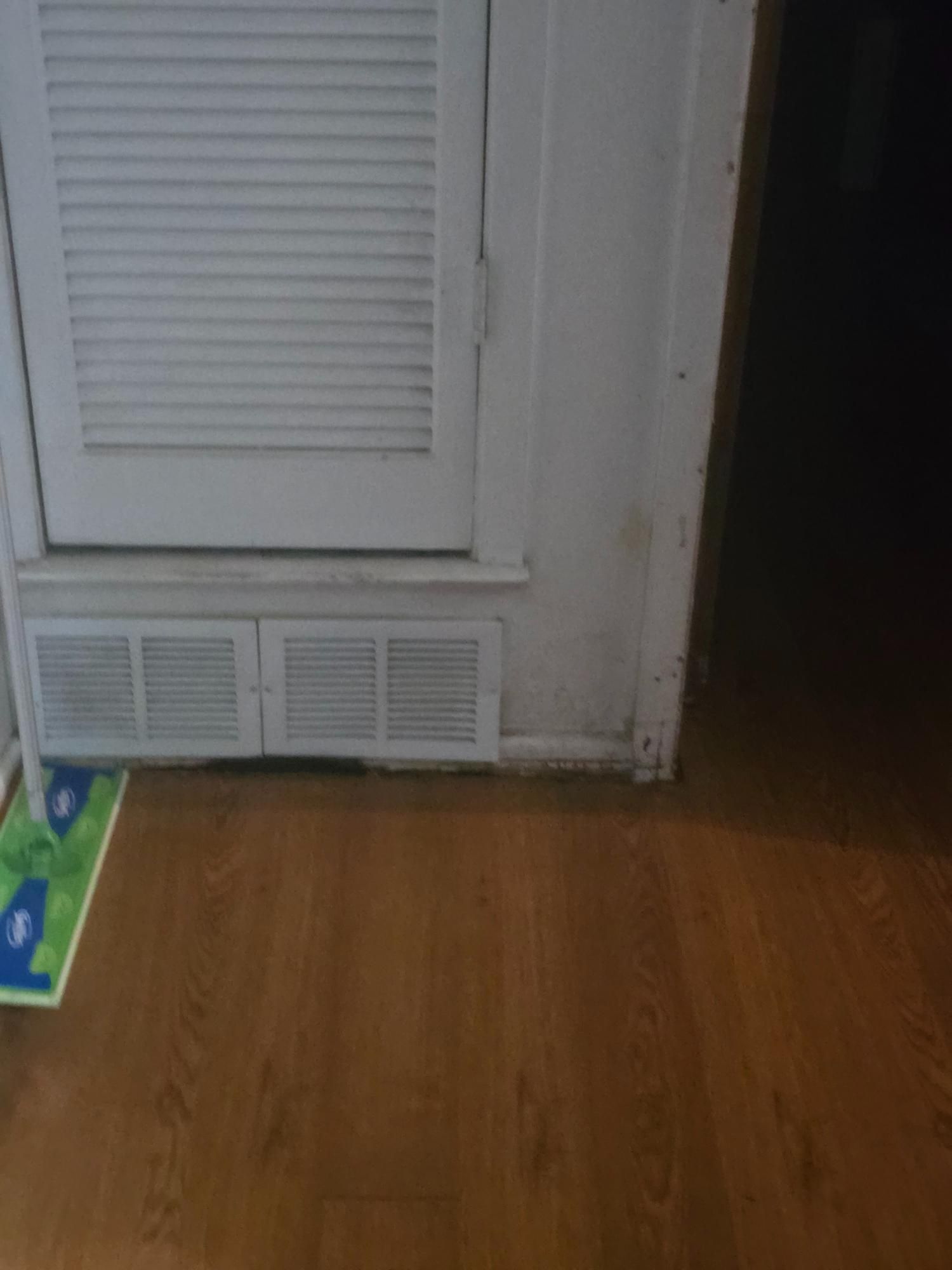 White louvered door and vent on a wall; wooden floor with a mop; dark doorway to the right.