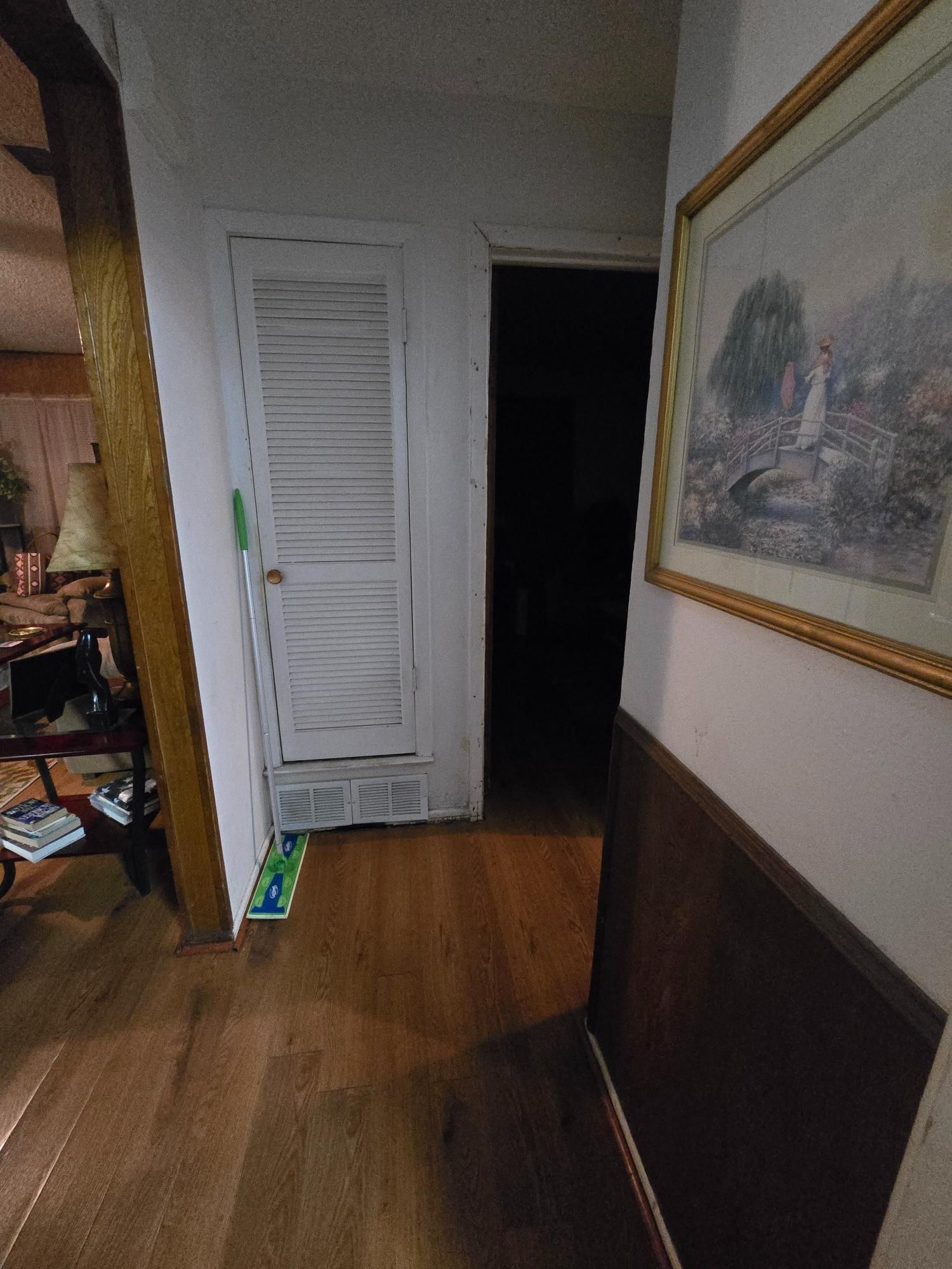 Narrow hallway with wooden floor, white closet door, and dark doorway; painting on the right.