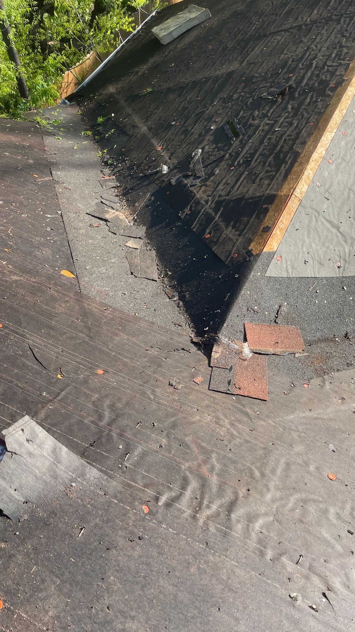 Close-up of a dark asphalt shingle roof, showing wear and some debris.