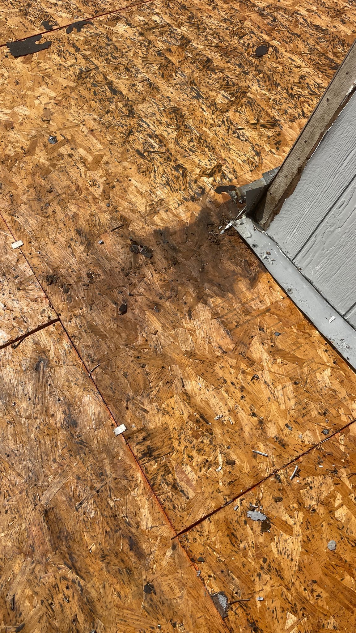 Close-up of weathered wood roof sheathing with a gray asphalt shingle edge and metal flashing.