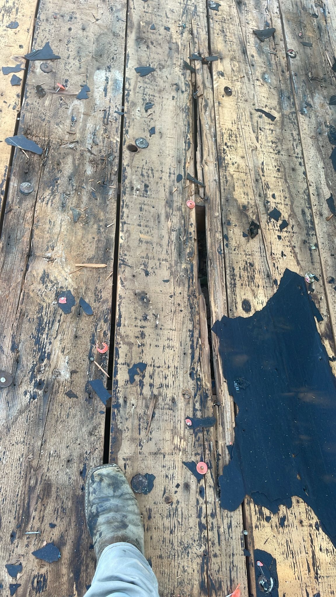 Foot standing on weathered wooden boards with peeling paint and a large crack.