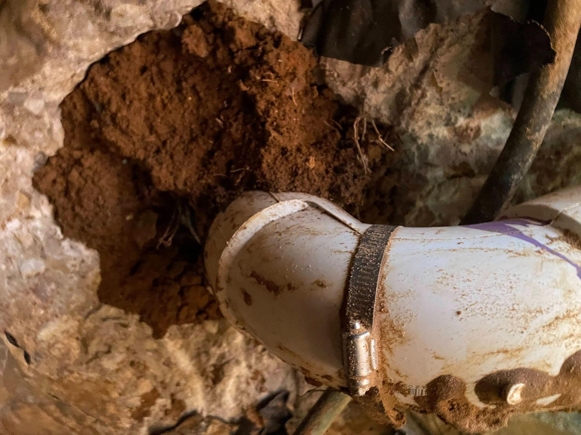 White PVC pipe elbow with clamp in a hole filled with dirt in a rough stone wall.